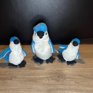 Rocket & 2 Teenie Rocket TY beanie babies with tags